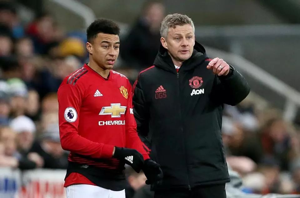 的年轻球员 的年轻球员